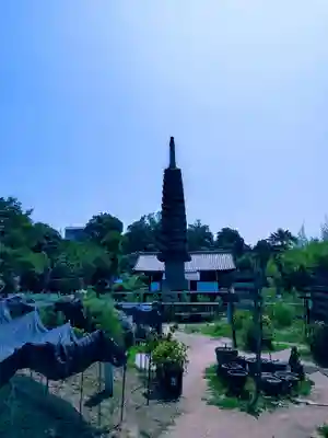 般若寺 ❁﻿コスモス寺❁(奈良県)