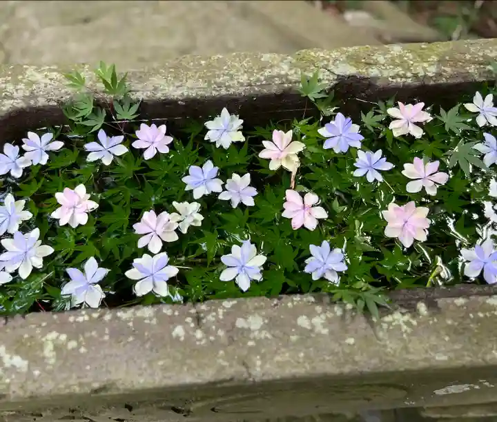 田間神社(千葉県)