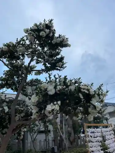 須左男神社(兵庫県)