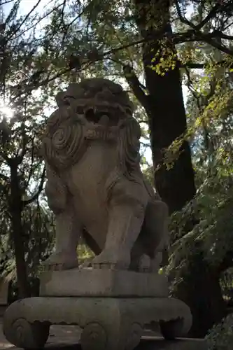 和歌山縣護國神社の狛犬