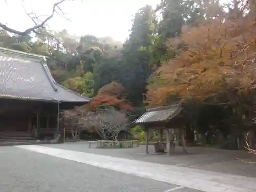 妙本寺の庭園