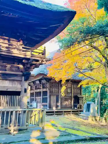 西明寺の{uncategorized: "未分類", other: "その他", undefined: "問題あり", building: "その他建物", grave: "お墓", sacred_gate: "鳥居", guardian: "狛犬", statue: "像", buddha: "仏像", history: "歴史", nature: "自然", garden: "庭園", animal: "動物", pagoda: "塔", temizu: "手水舎", mountain_gate: "山門・神門", sanctuary: "本殿・本堂", subordinate: "末社・摂社", art: "芸術", scenery: "景色", jizo: "地蔵", ema: "絵馬", goshuin: "御朱印", omikuji: "おみくじ", items: "授与品その他", amulet: "お守り", goshuincho: "御朱印帳", eats: "食事", festival: "お祭り", votive_dance: "神楽", shichigosan: "七五三参", wedding: "結婚式", experience: "体験その他", initially: "初詣", around: "周辺", anti_infection: "感染症対策"}