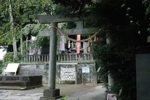 前玉神社(埼玉県)