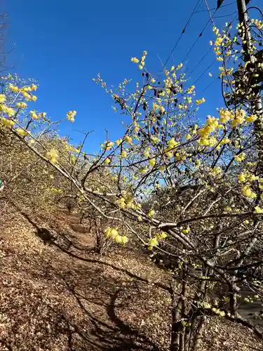 羽黒山神社(栃木県)