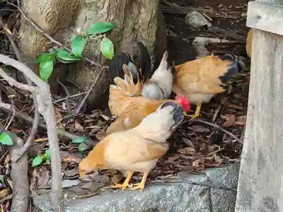 忌宮神社(山口県)