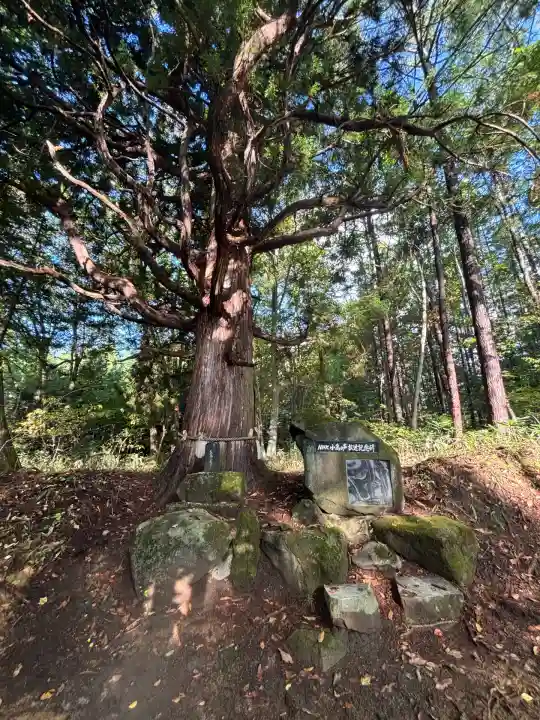 戸隠神社火之御子社(長野県)