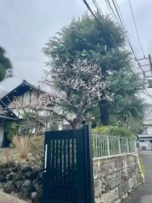 誓閑寺(東京都)