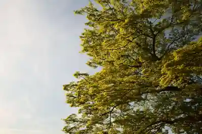 金峯山寺(奈良県)