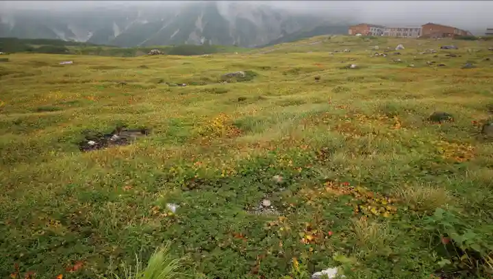 雄山神社峰本社の自然
