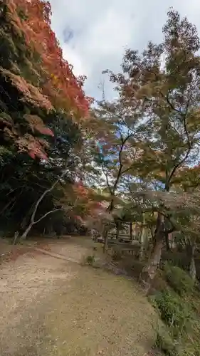 勝持寺（花の寺）(京都府)