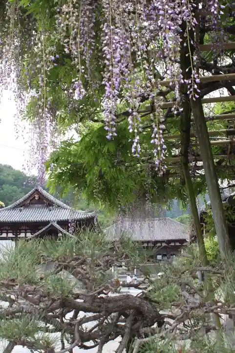 當麻寺 宗胤院(奈良県)