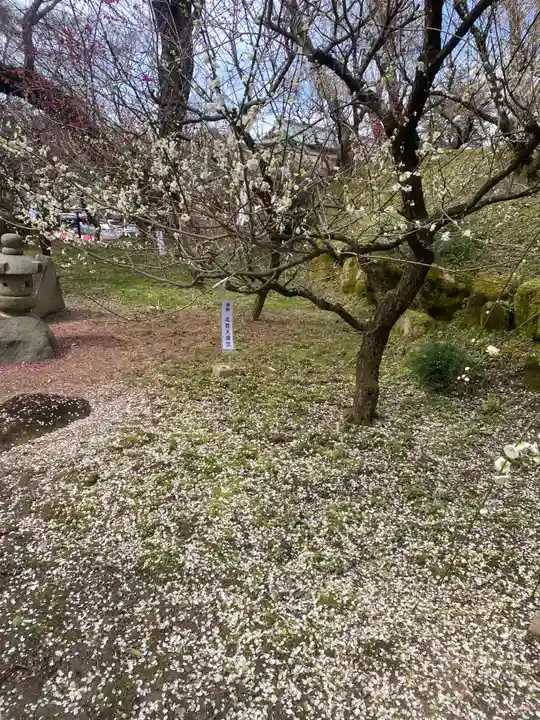 岩津天満宮(愛知県)