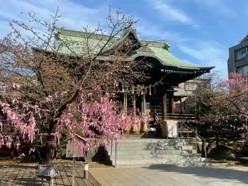 桜神宮(東京都)