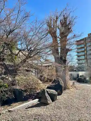 東海寺(東京都)
