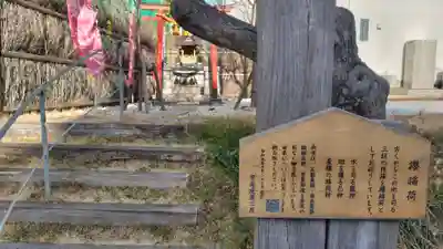 櫻稲荷(櫻稲荷神社)(神奈川県)