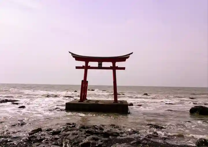 金比羅神社の鳥居