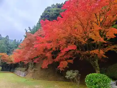 千如寺大悲王院(福岡県)