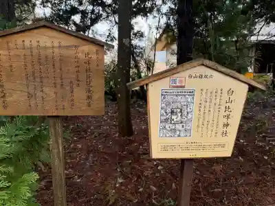 白山比咩神社の{uncategorized: "未分類", other: "その他", undefined: "問題あり", building: "その他建物", grave: "お墓", sacred_gate: "鳥居", guardian: "狛犬", statue: "像", buddha: "仏像", history: "歴史", nature: "自然", garden: "庭園", animal: "動物", pagoda: "塔", temizu: "手水舎", mountain_gate: "山門・神門", sanctuary: "本殿・本堂", subordinate: "末社・摂社", art: "芸術", scenery: "景色", jizo: "地蔵", ema: "絵馬", goshuin: "御朱印", omikuji: "おみくじ", items: "授与品その他", amulet: "お守り", goshuincho: "御朱印帳", eats: "食事", festival: "お祭り", votive_dance: "神楽", shichigosan: "七五三参", wedding: "結婚式", experience: "体験その他", initially: "初詣", around: "周辺", anti_infection: "感染症対策"}