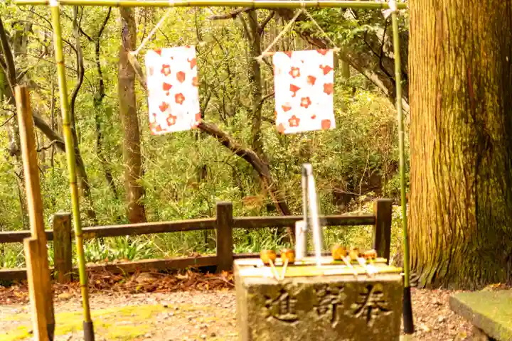 瀧神社(都農神社末社(奥宮))(宮崎県)