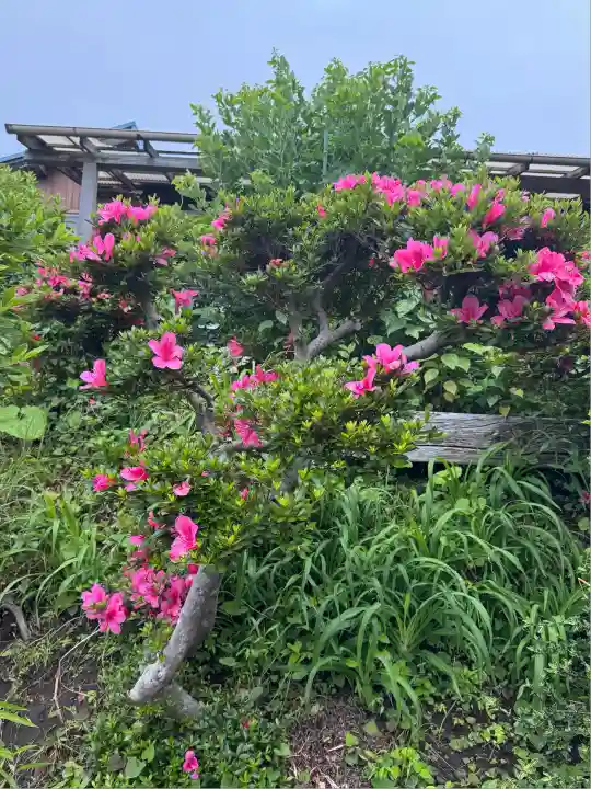 太寧寺(神奈川県)