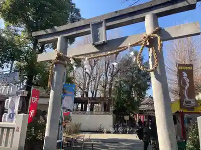 若宮八幡宮 (神奈川県)