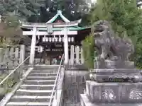 日吉神社(京都府)