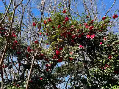 瑠璃光院薬師堂(東京都)