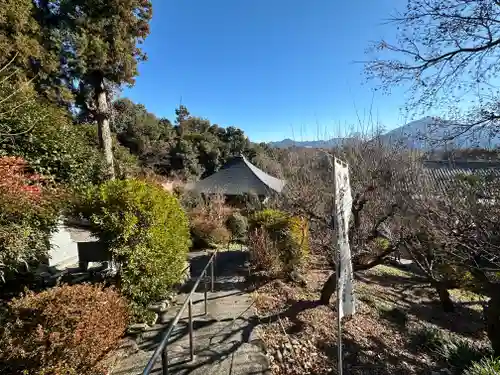 岩之上堂(埼玉県)