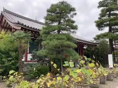 自性院の本殿・本堂