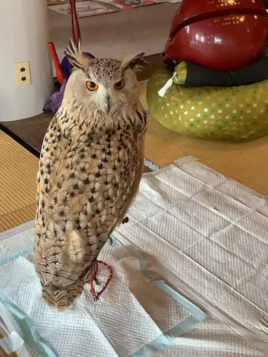 正眼寺(愛知県)