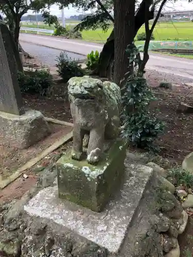 塚崎香取神社の狛犬