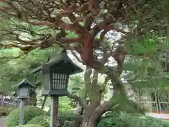 密藏院(埼玉県)