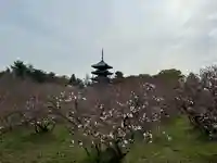 仁和寺(京都府)