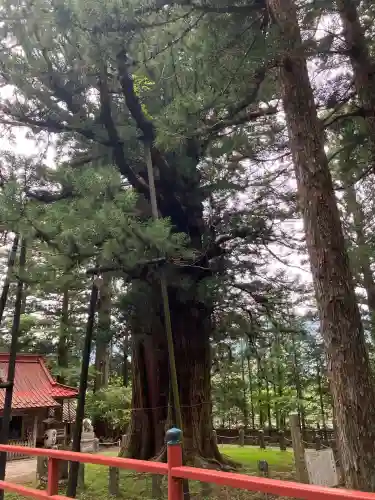 塩原八幡宮(栃木県)
