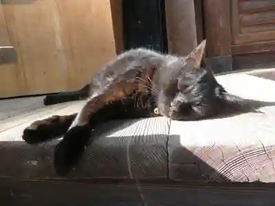 梅宮大社(京都府)