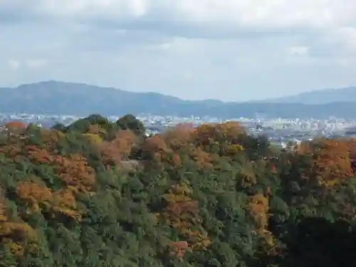 大悲閣千光寺の景色