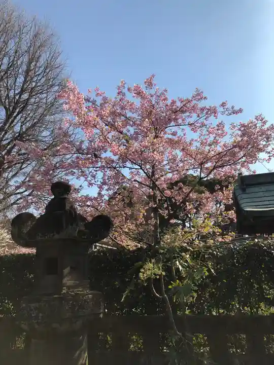 上野東照宮の自然