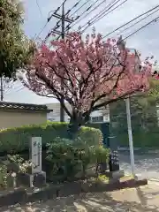 観音寺(神奈川県)