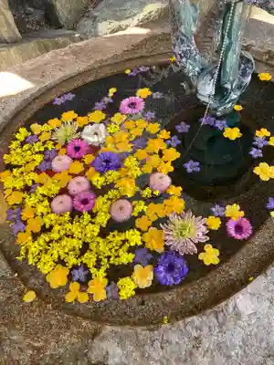 瀧不動尊の手水舎