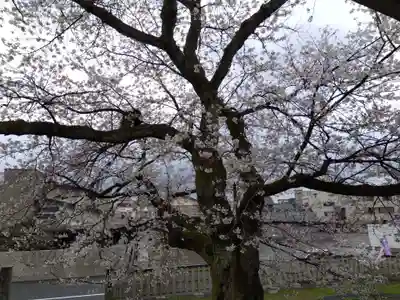 妙経寺(福井県)