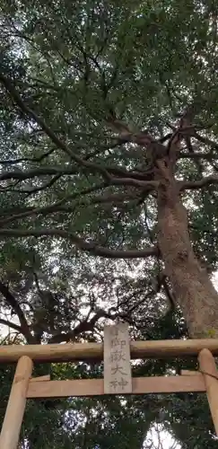 金山神社(千葉県)