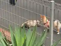 宣隆寺(三重県)