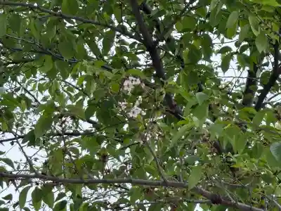 靖國神社(東京都)