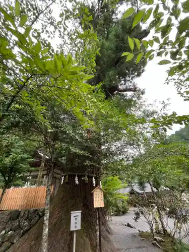 丹生川上神社（中社）(奈良県)