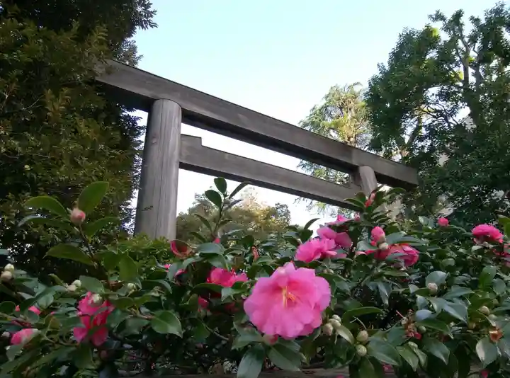 東京大神宮(東京都)