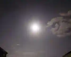 刺田比古神社の自然(2025年10月06日(月) 05時26分33秒投稿)