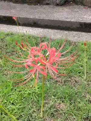 横浜　西方寺(神奈川県)