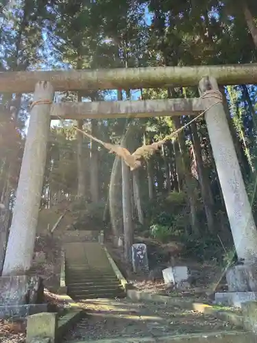 氷川神社の鳥居