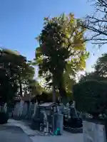 観音寺(島根県)