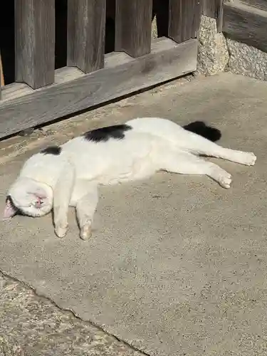 観音正寺(滋賀県)